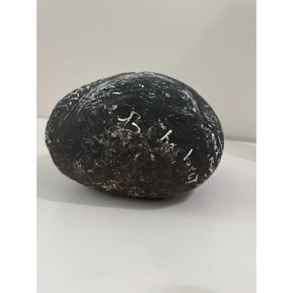 Vintage Raccoon Hand Painted On Rock Stone Signed